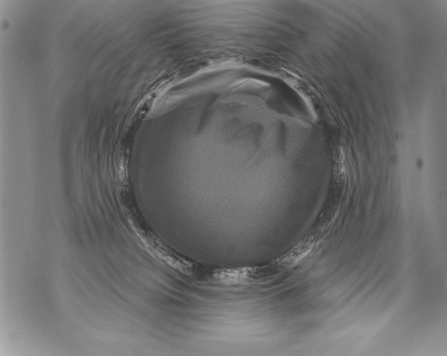 X0000070860084200607150107