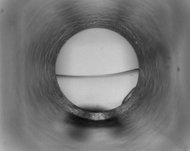 X0000070860091200607150107