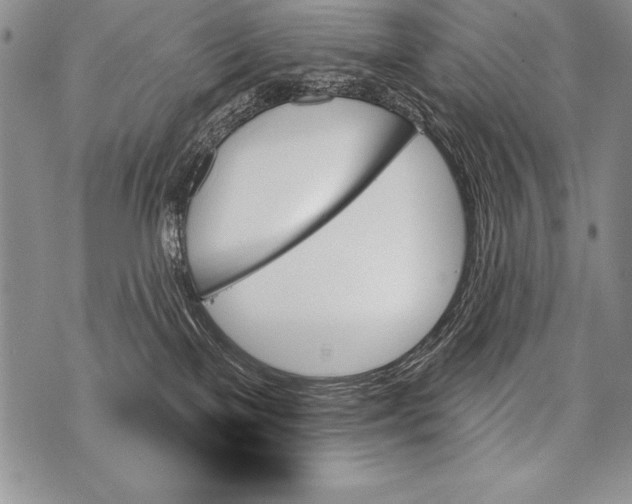 X0000070860137200607150106