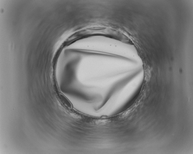 X0000070860152200607150105