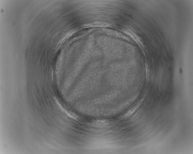 X0000070860157200607150105
