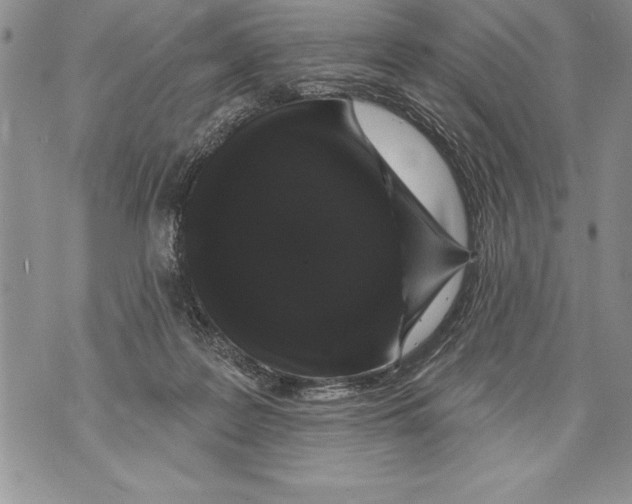 X0000070860219200607150104