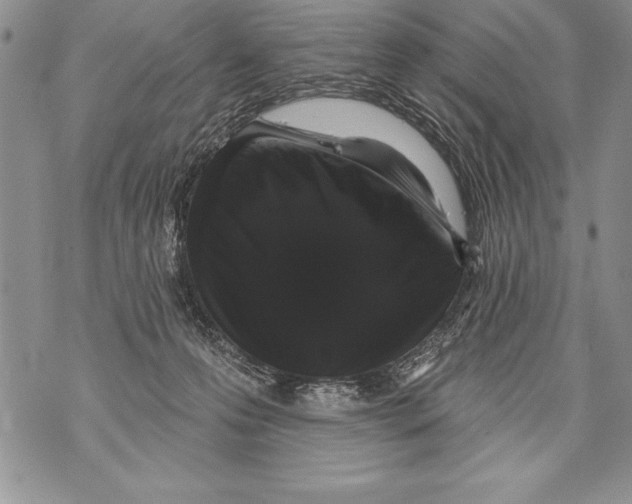 X0000070860223200607150104