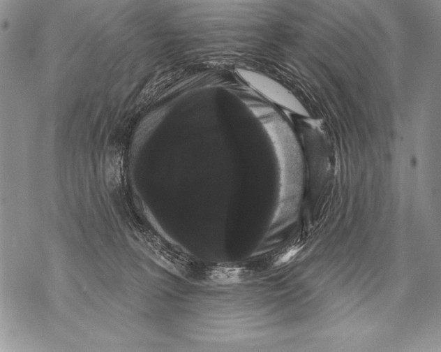 X0000070860227200607150104