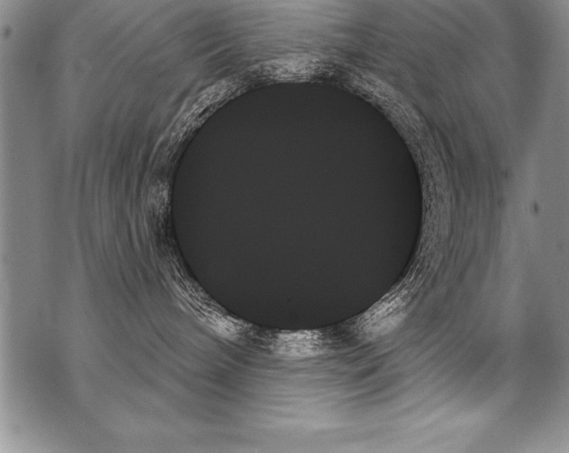 X0000070860240200607150104