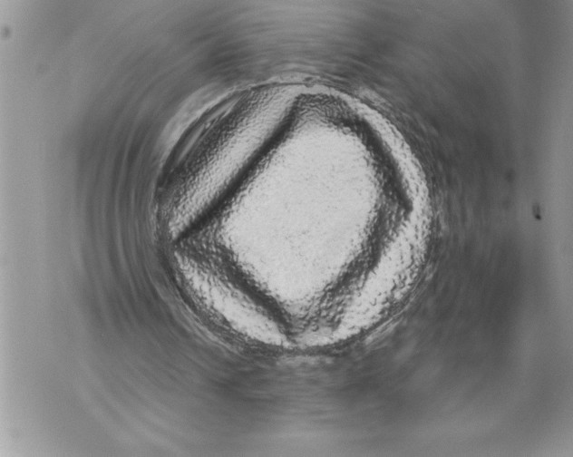 X0000070860242200607150103