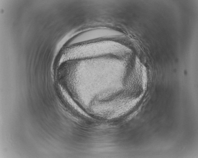 X0000070860246200607150103