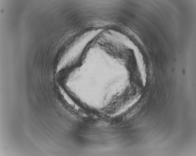 X0000070860257200607150103