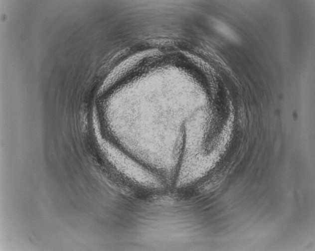 X0000070860259200607150103