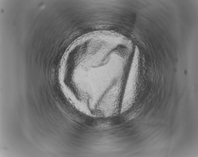 X0000070860263200607150103