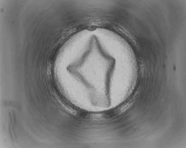 X0000070860265200607150103
