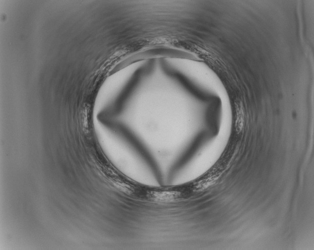 X0000070860268200607150103