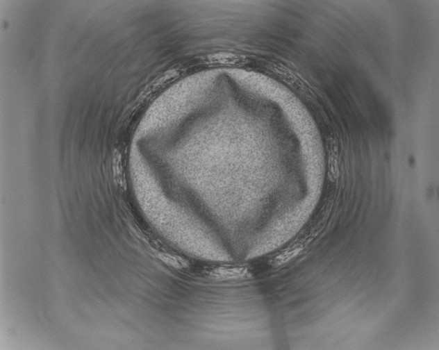 X0000070860270200607150103