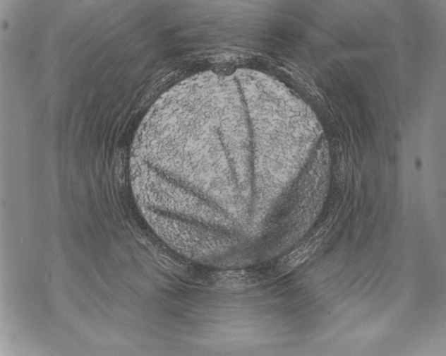 X0000070860273200607150104