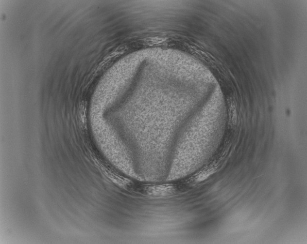 X0000070860274200607150104