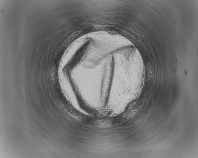 X0000070860275200607150104