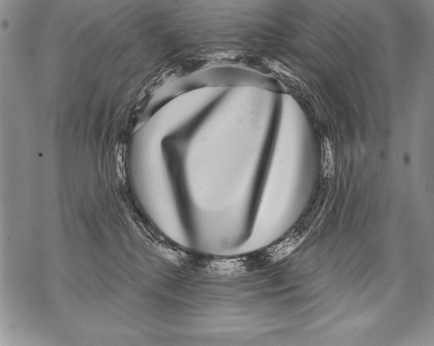 X0000070860280200607150104