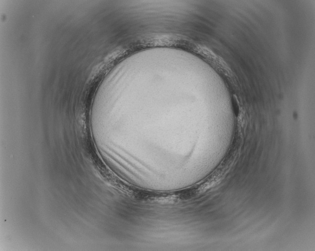 X0000070860306200607150103