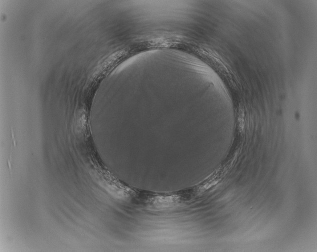 X0000070860314200607150103