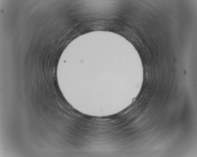 X0000070860332200607150102
