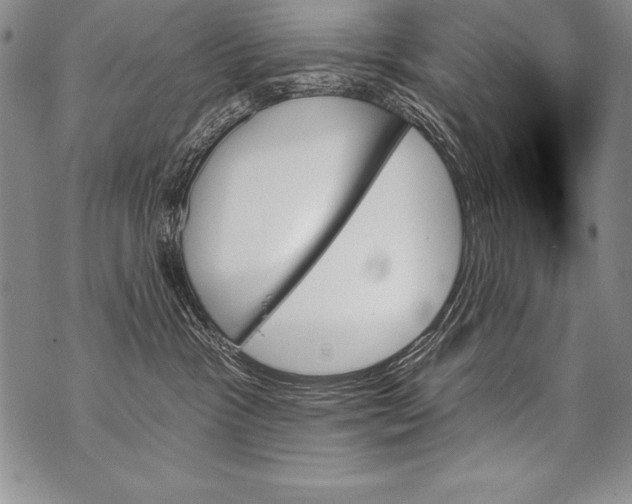 X0000070860333200607150102