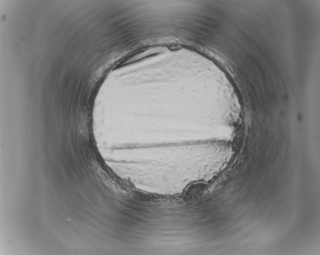 X0000070860345200607150102