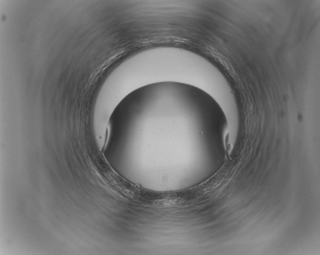 X0000070860356200607150102