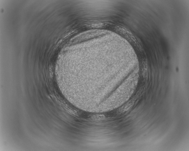 X0000070860374200607150102
