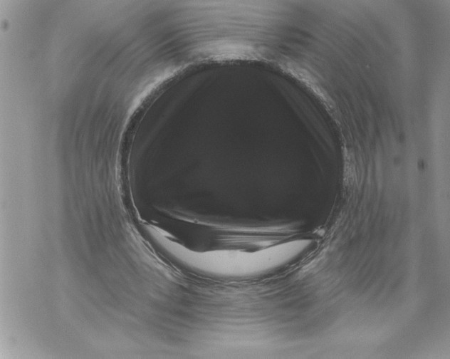 X0000070860391200607150101