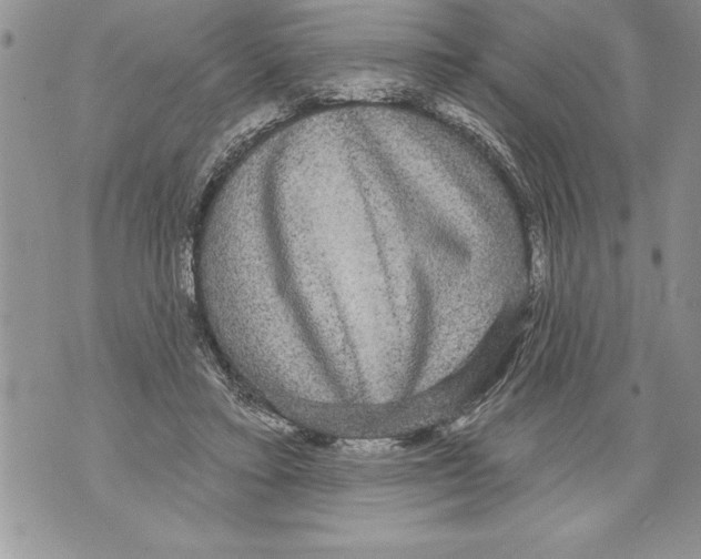 X0000070860403200607150101