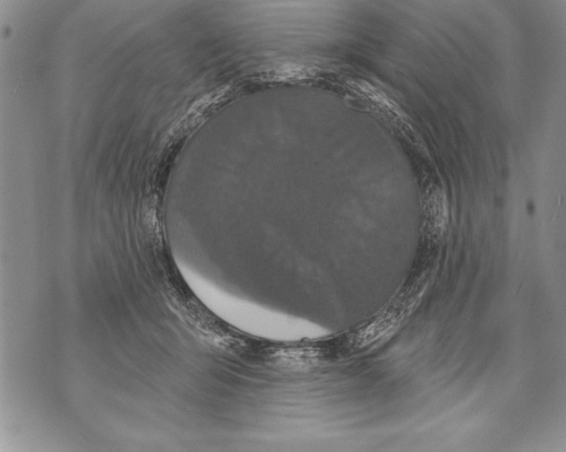 X0000070860415200607150101