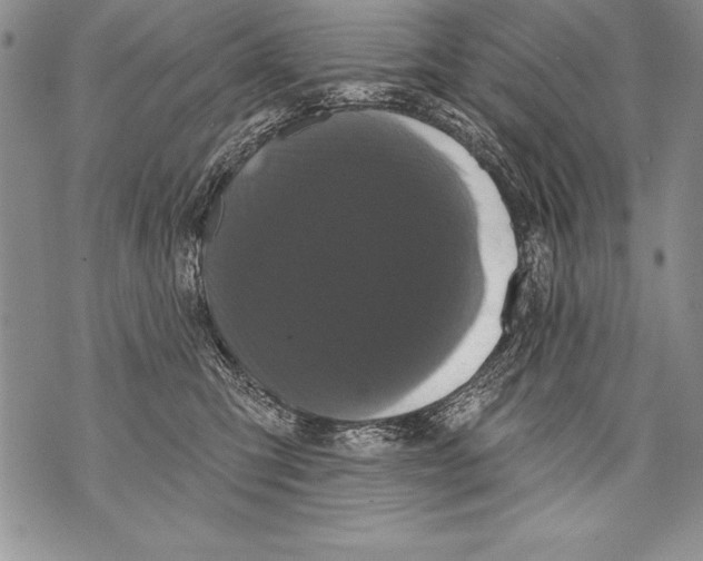 X0000070860423200607150101