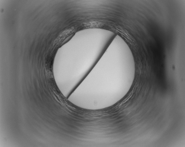 X0000070860429200607150101
