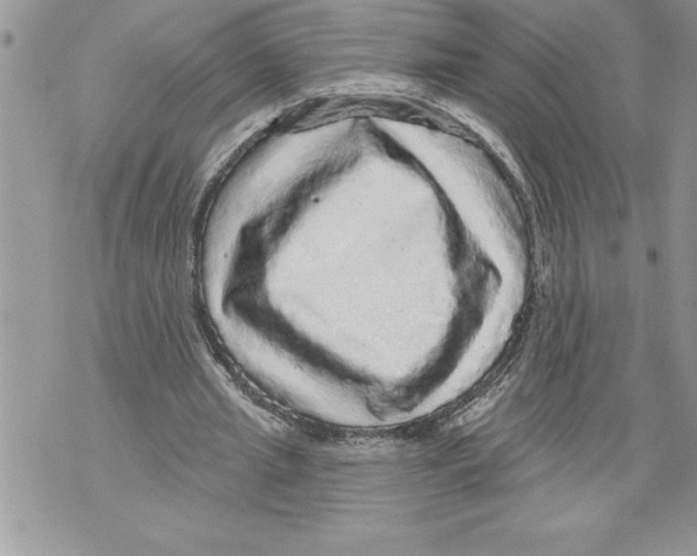 X0000070860437200607150100