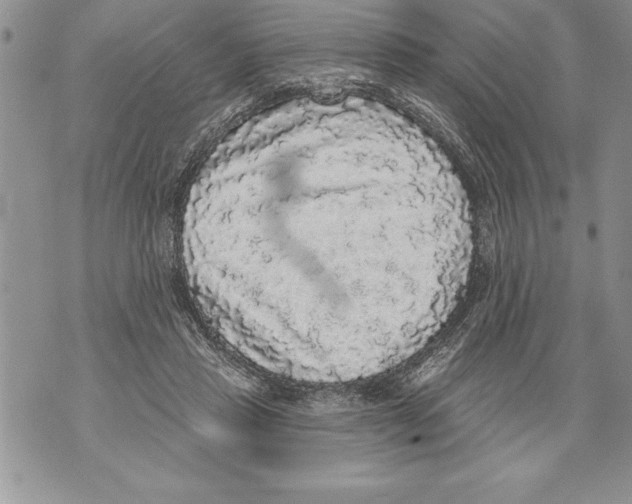 X0000070860453200607150100