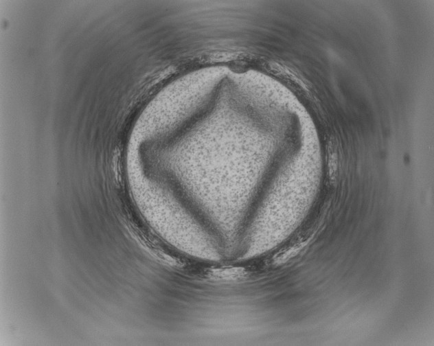 X0000070860455200607150100