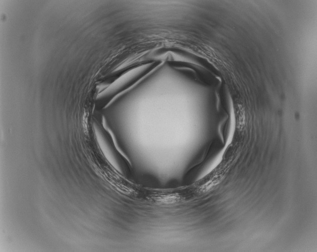 X0000070860456200607150100