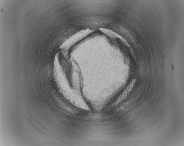 X0000070860457200607150100