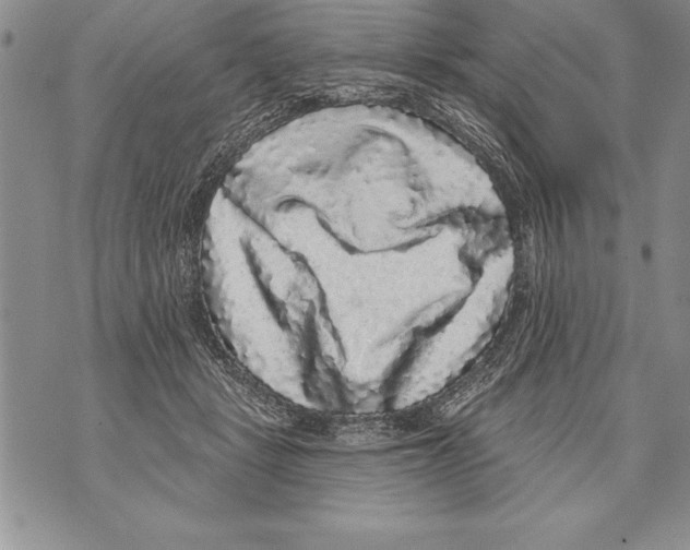 X0000070860461200607150100