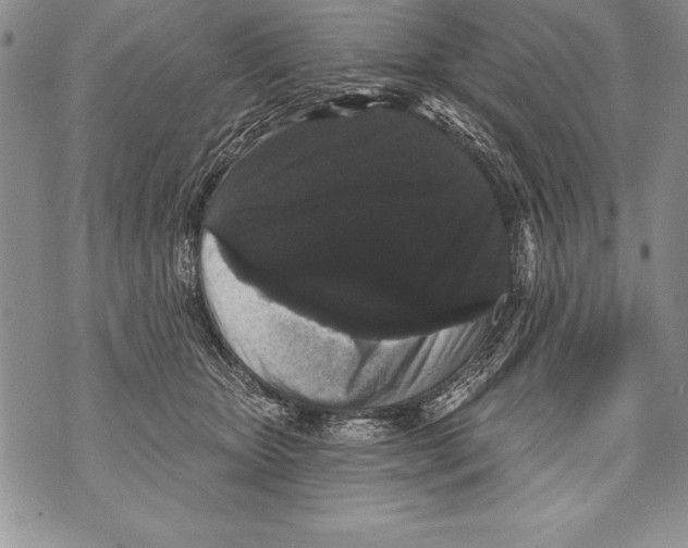 X0000070860467200607150100