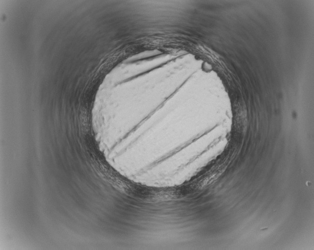 X0000070860469200607150101