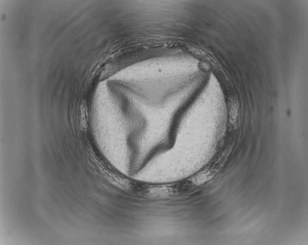X0000070860470200607150101