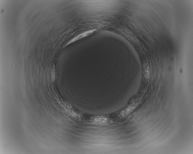 X0000070860471200607150101