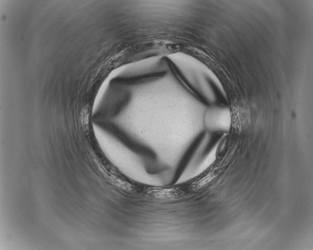 X0000070860472200607150101