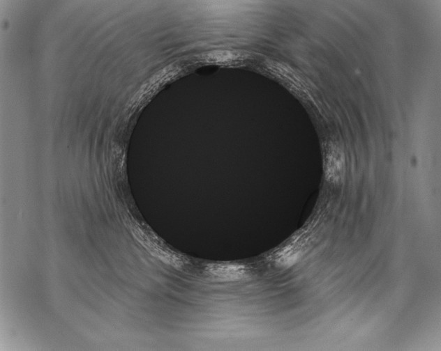X0000070860476200607150101