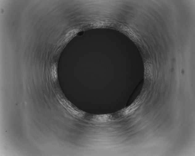 X0000070860479200607150101