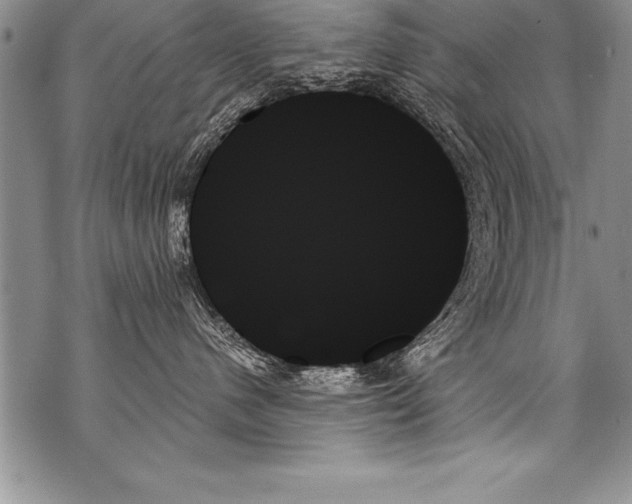 X0000070860480200607150101