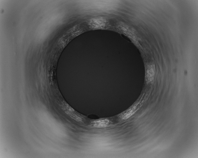X0000070860525200607150059
