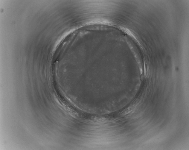 X0000070860531200607150058