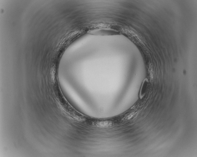 X0000070860546200607150059